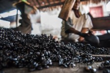Salah satu industri yang terkenal yaitu Pengolahan Bubuk Kopi